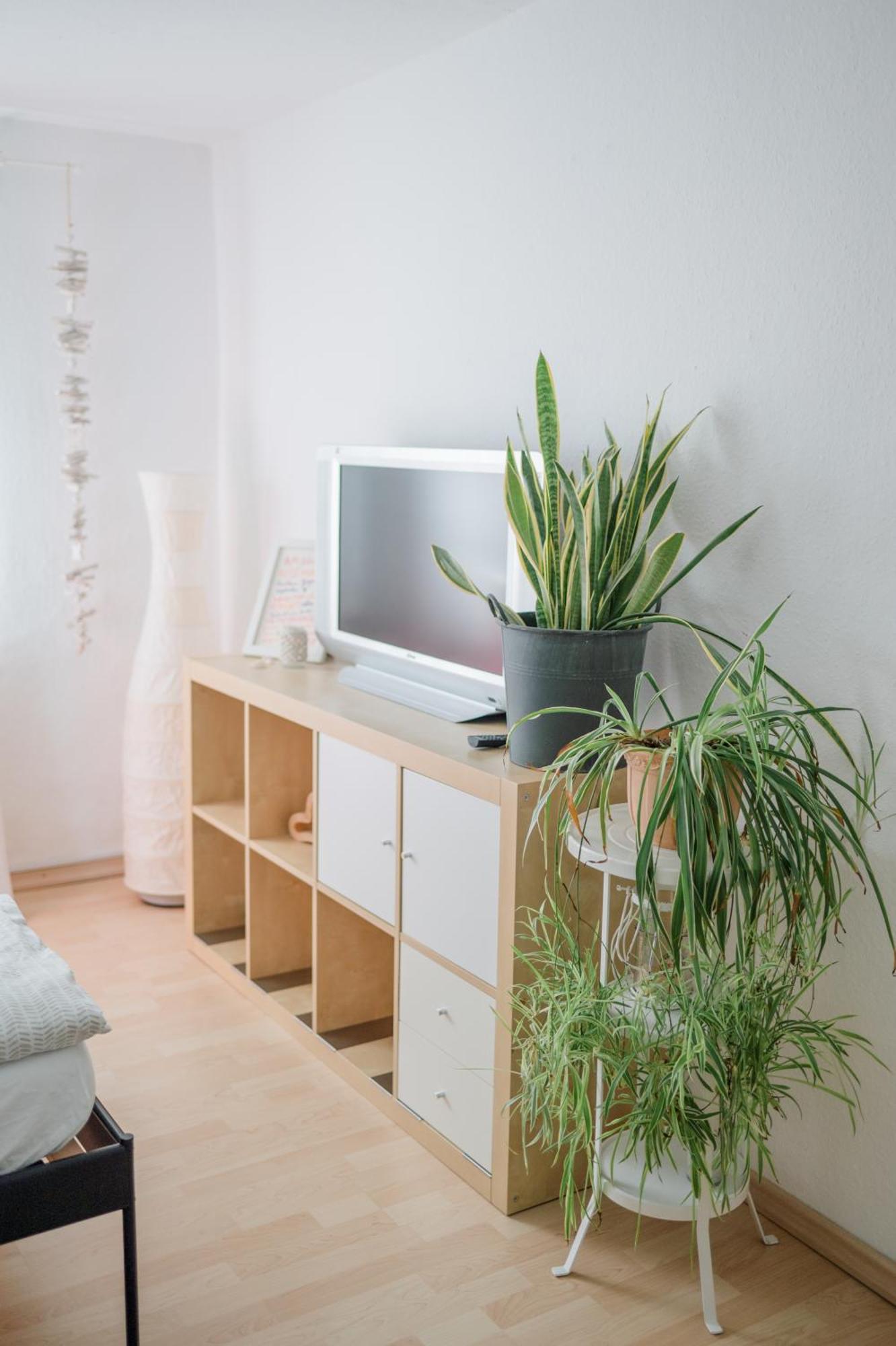 Buchlindenweg - Zimmer & Ferienwohnung Breitscheid  Ngoại thất bức ảnh